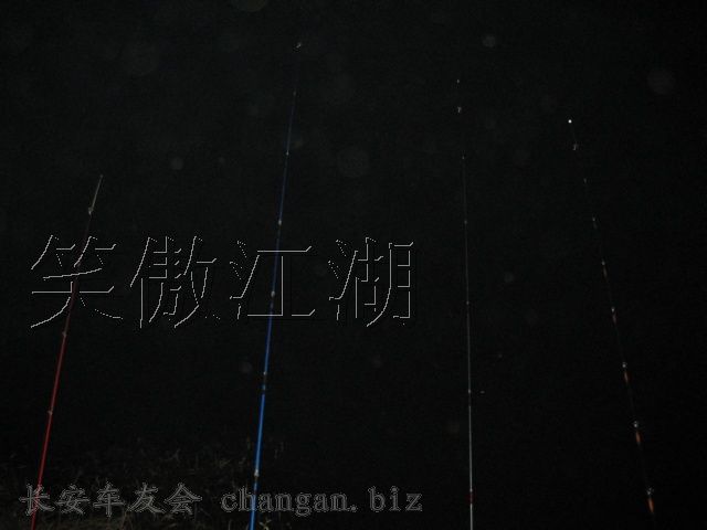 IMG_1224.jpg