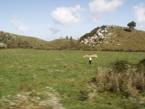 ݳĹ.JPG