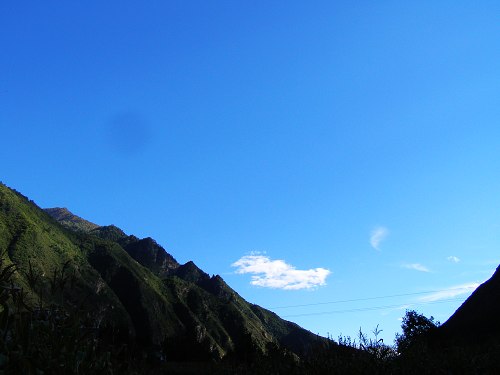 С 491.jpg