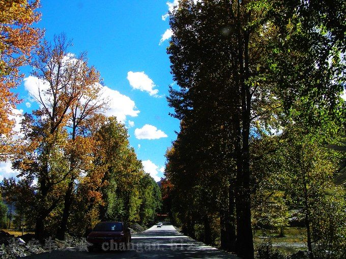 PA030126.jpg