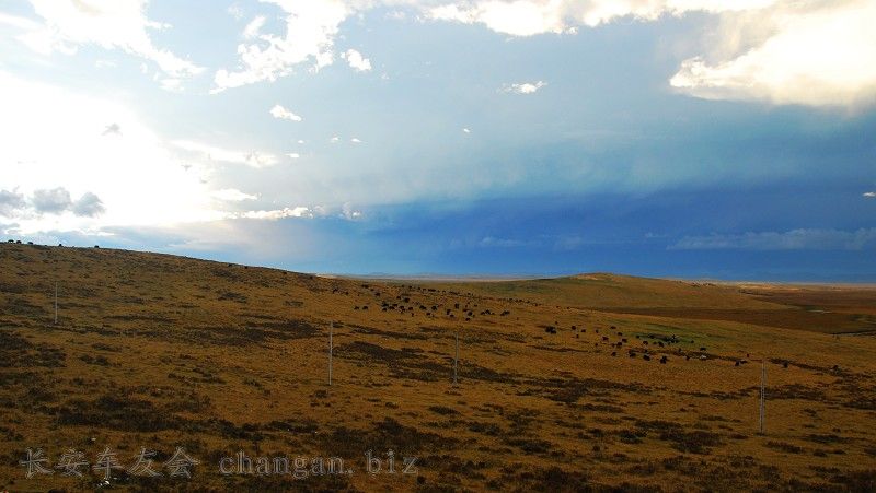 BNR_0315.JPG