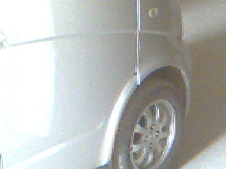 IMG0846A.jpg