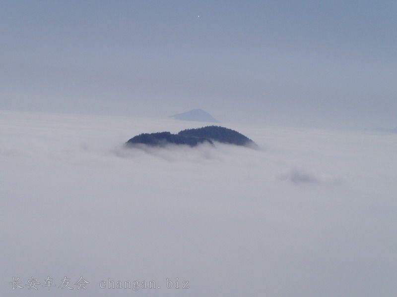 SNV30640_С.JPG