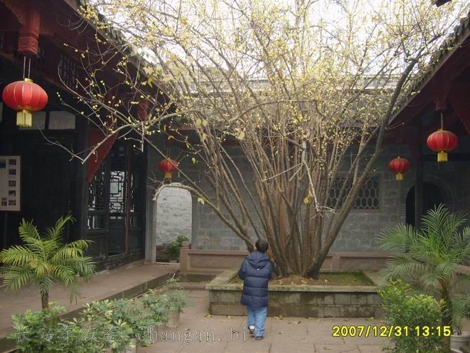 С S6000070.JPG