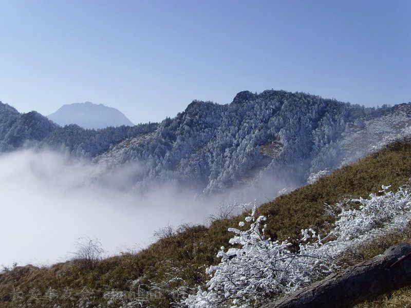 SNV30637_С_С.JPG