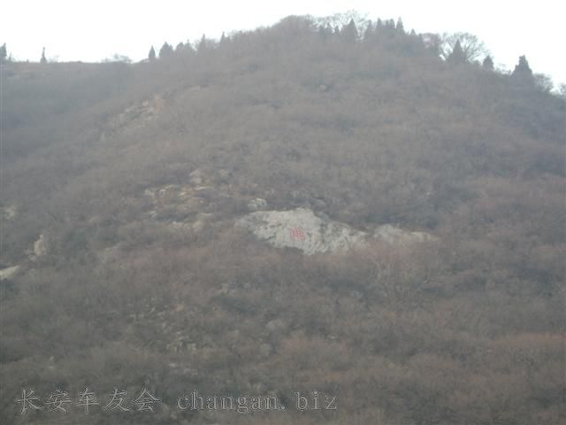 DSC00434 (С).JPG