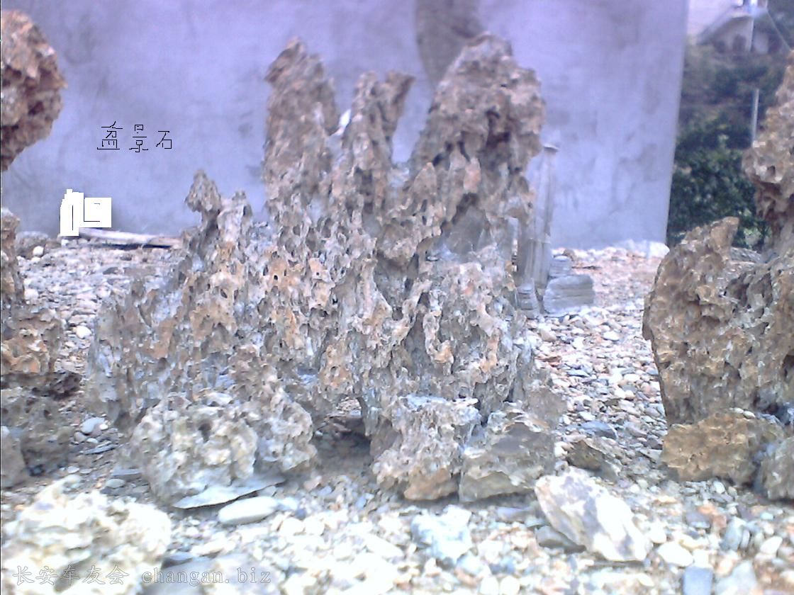 IMG0107A.jpg