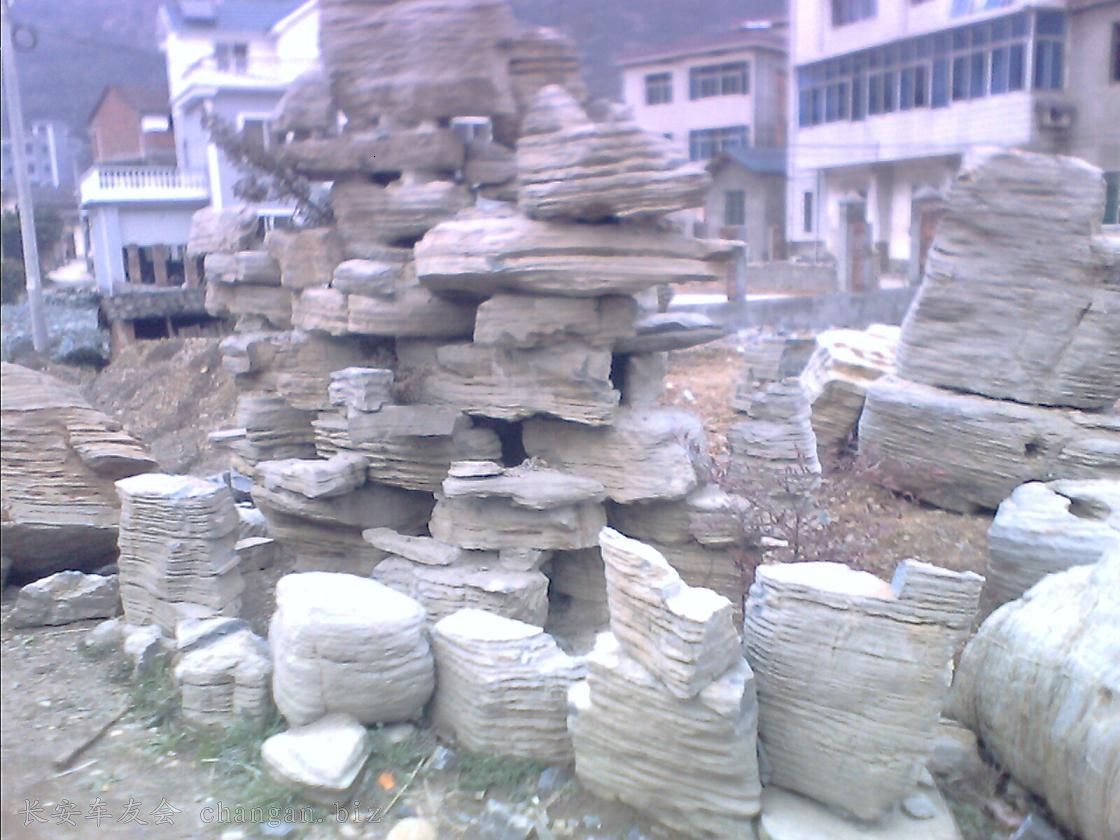 IMG0111A.jpg