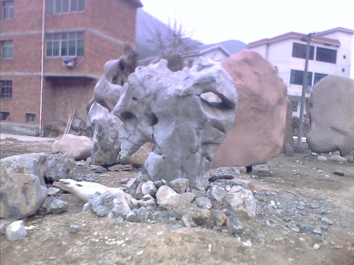 IMG0110A.jpg