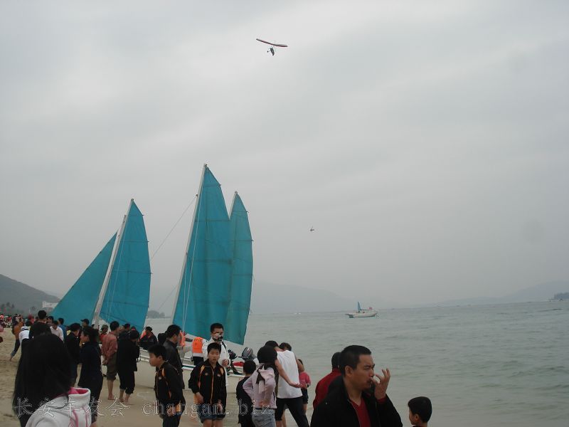 DSC02256.jpg