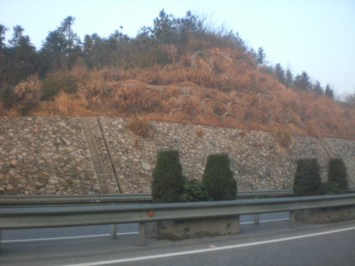 CIMG2135.JPG