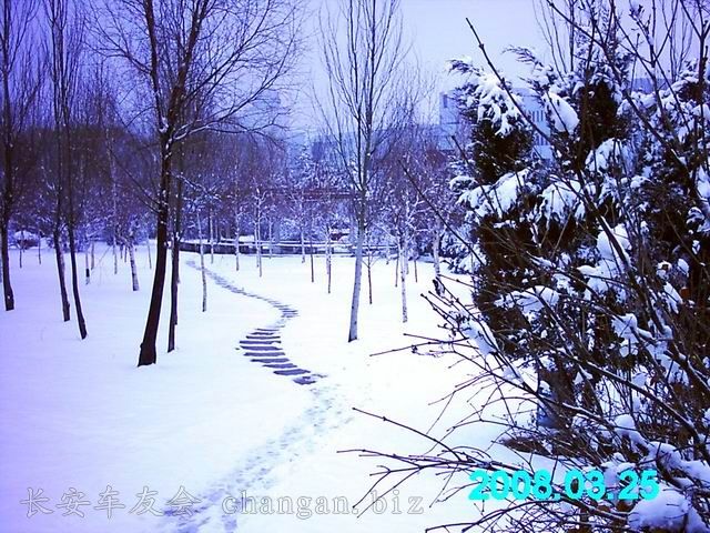 IMAG0063.JPG