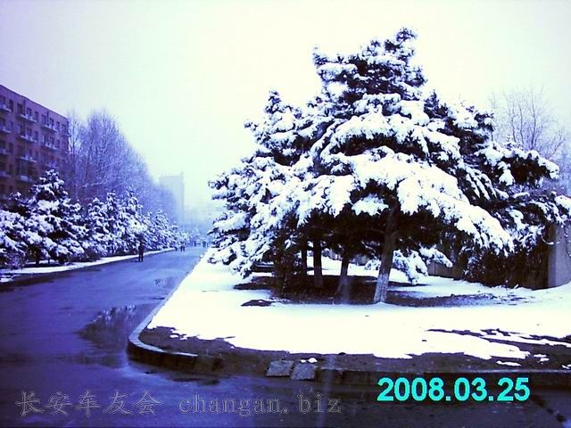 IMAG0061.JPG