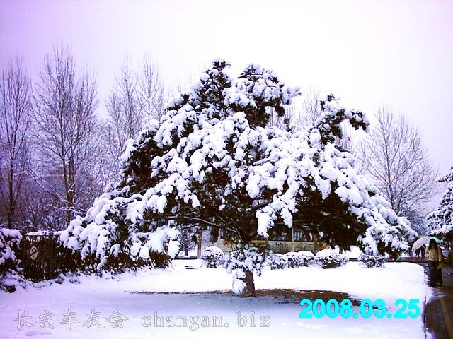 IMAG0087.JPG