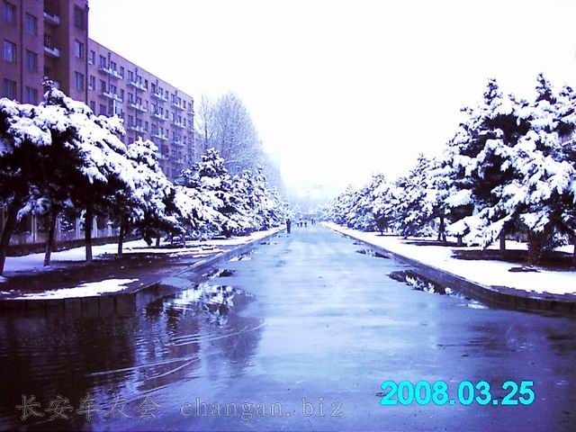IMAG0060.JPG