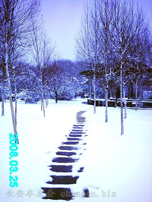 IMAG0070.JPG