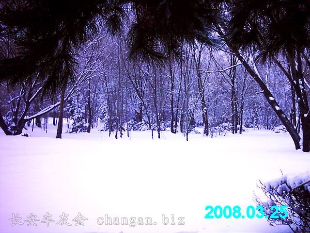 IMAG0081.JPG