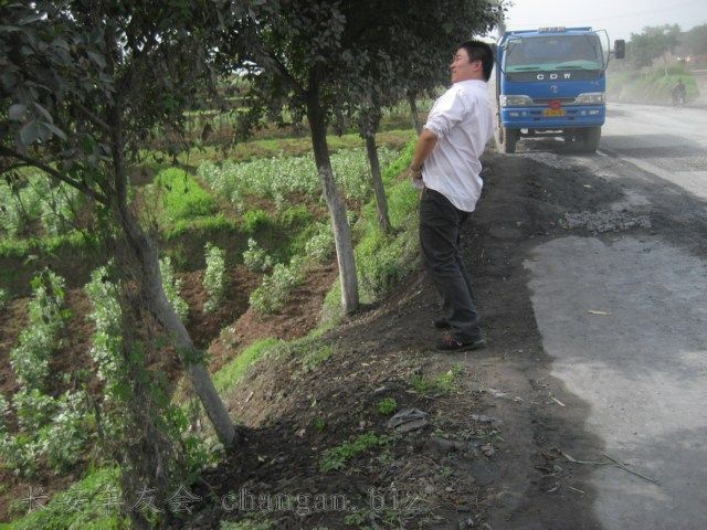 IMG_2075.jpg