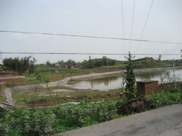 IMG_2061.jpg