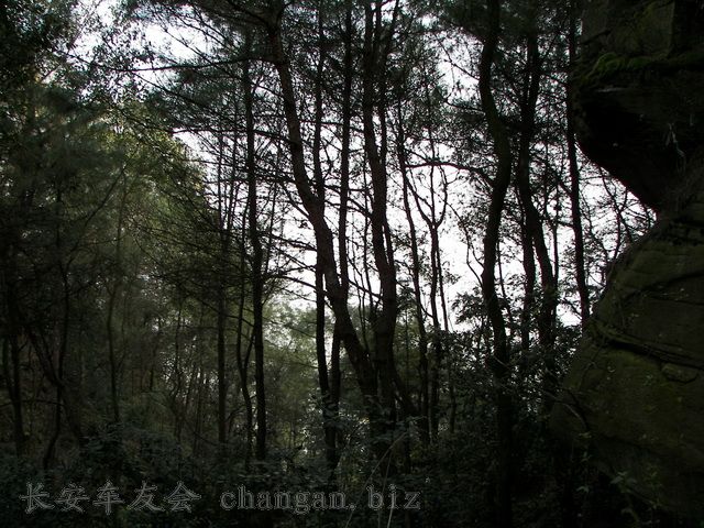 100_5874.JPG