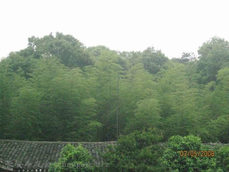 IMG_1079.jpg