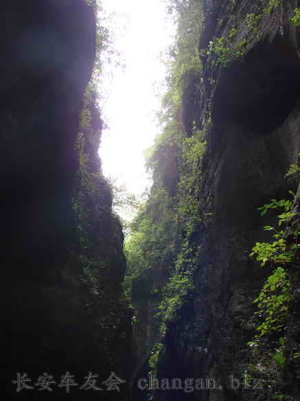 DSC05015.jpg