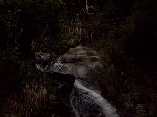100_0286.JPG