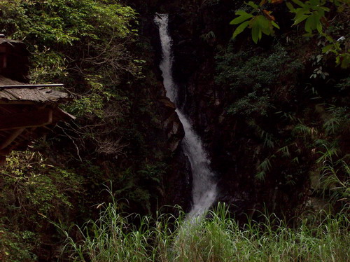 100_0257.JPG
