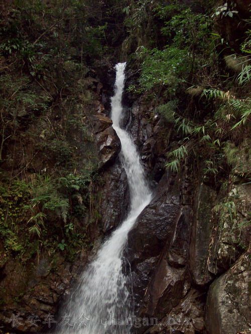 100_0273.JPG