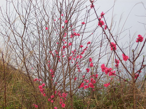 100_0332.JPG