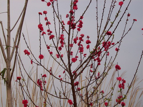 100_0328.JPG