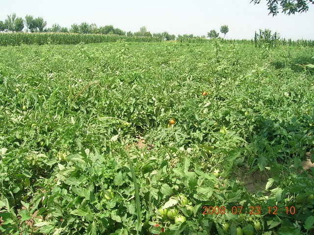 DSCN4474.JPG
