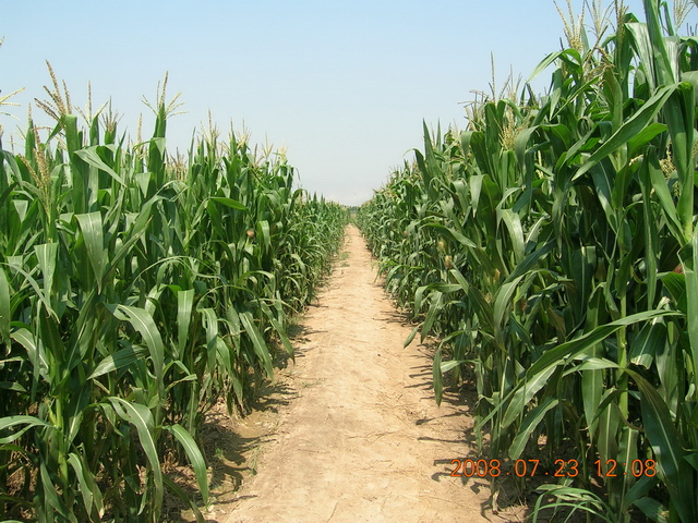 DSCN4471.JPG