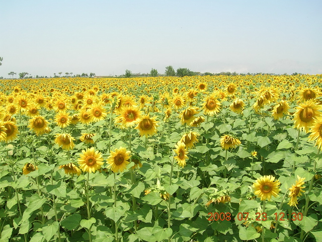 DSCN4501.JPG