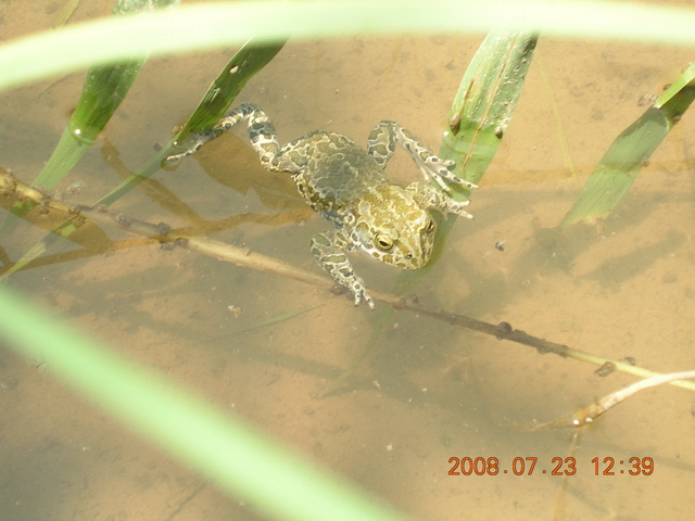DSCN4507.JPG