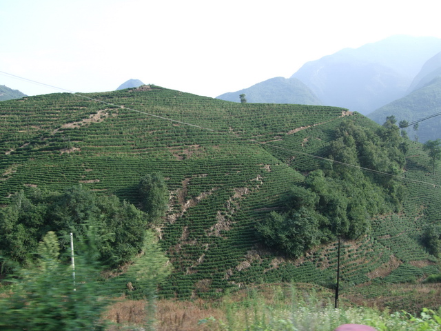 DSCF1318.jpg