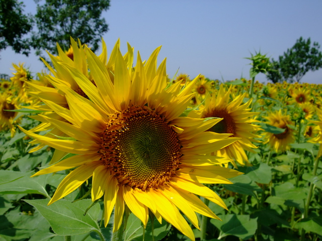 DSCF1024.jpg