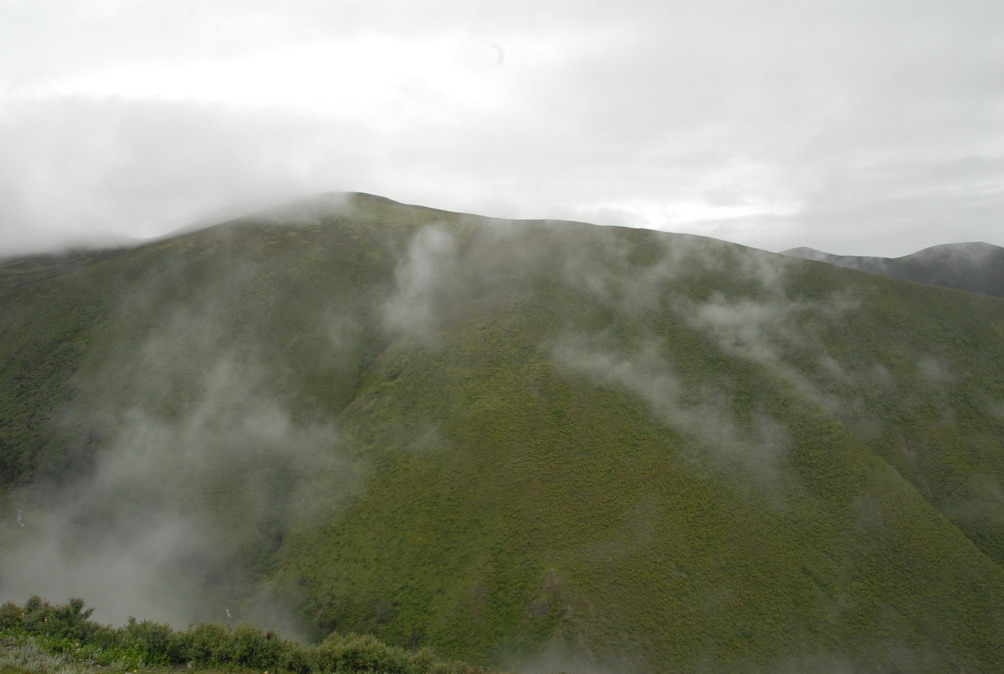 DSC_0218.JPG