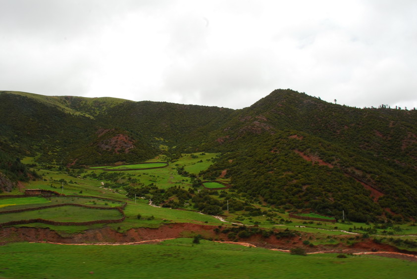 DSC_0498.JPG