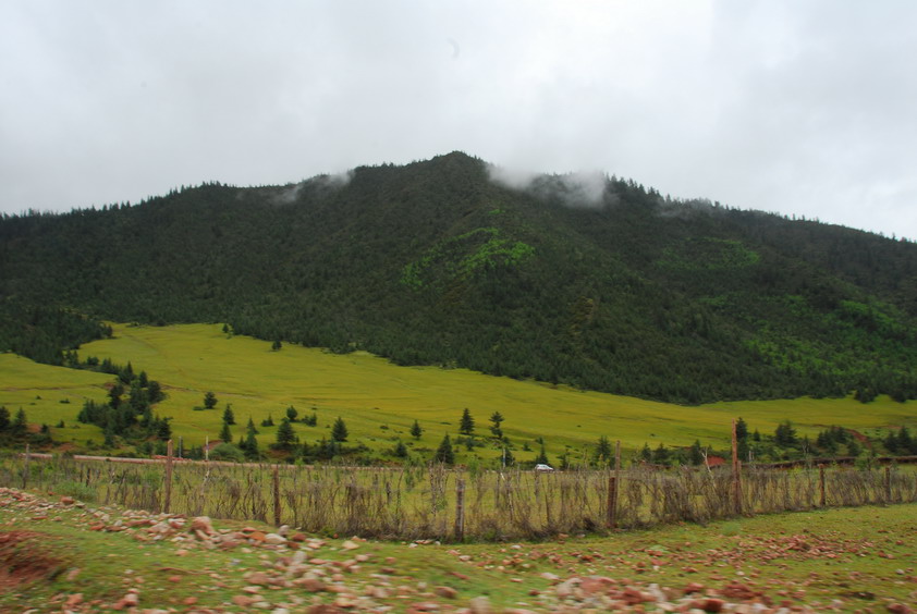 DSC_0515.JPG