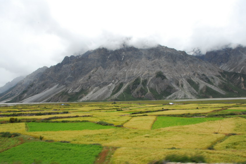 DSC_0792.JPG