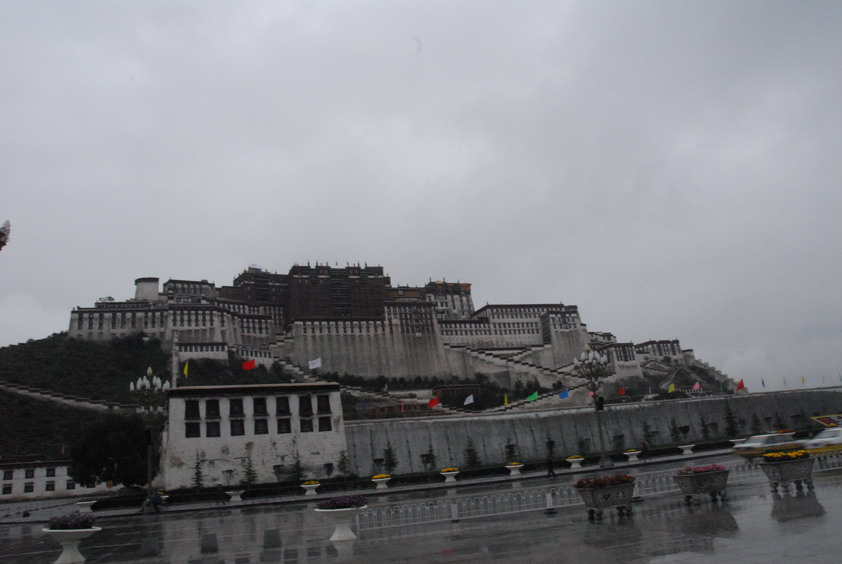 DSC_1179.JPG