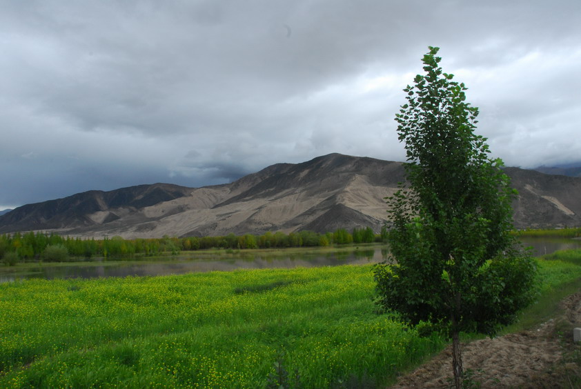 DSC_1354.JPG