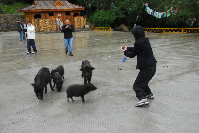 DSC_1079.JPG