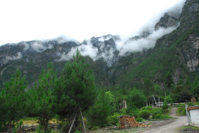 DSC_0879.JPG