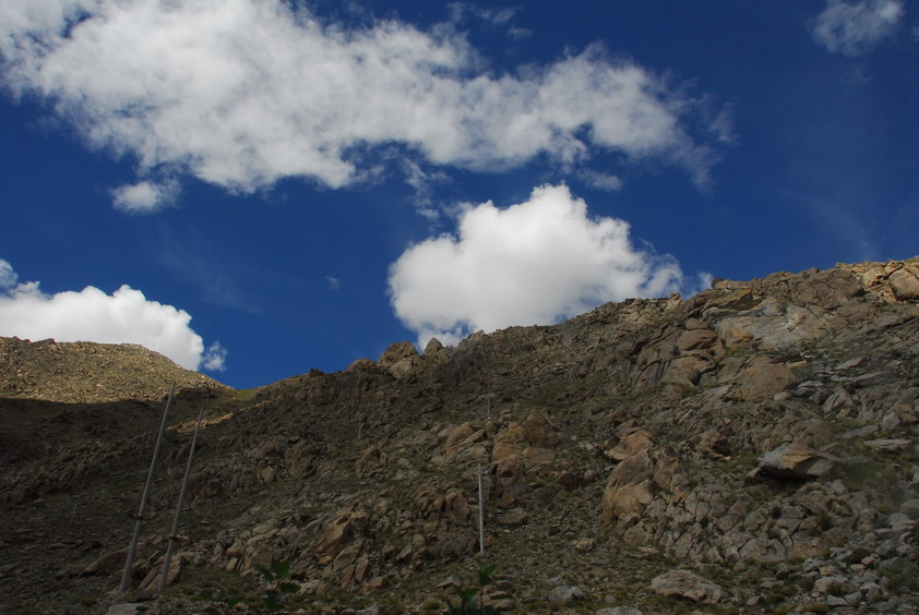 DSC_1312.JPG