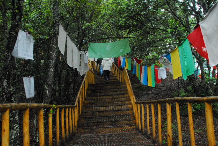 DSC_1070.JPG