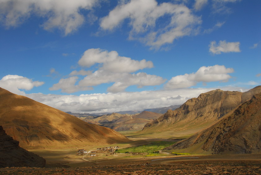 DSC_1447.JPG