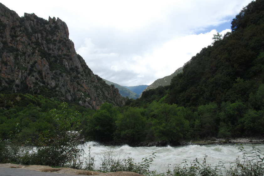 DSC_1100.JPG