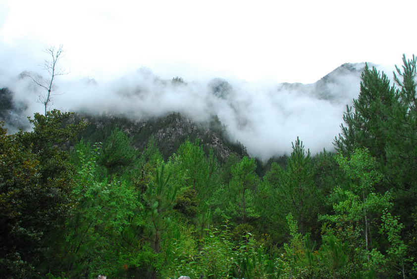 DSC_0876.JPG